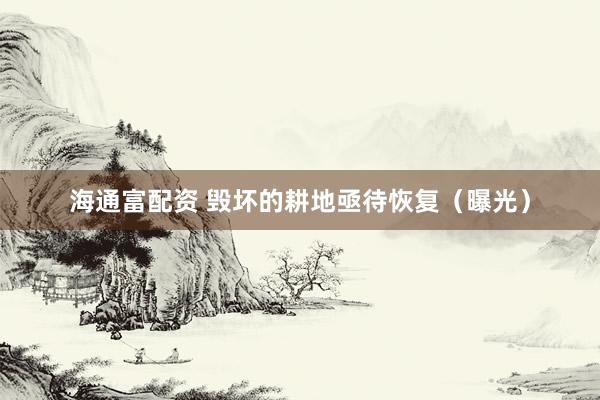 海通富配资 毁坏的耕地亟待恢复（曝光）