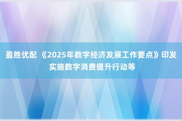 盈胜优配 《2025年数字经济发展工作要点》印发 实施数字消费提升行动等