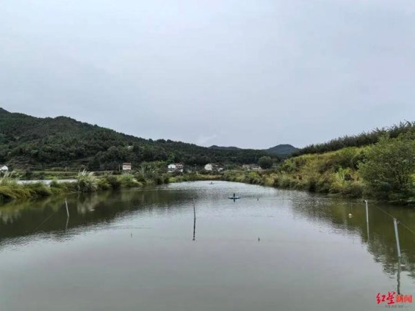 美牛股 实探网红“唐飞机”坠机现场：距起飞地约50米，地上有油污；目击者：直播十多分钟后坠机，“赶到现场发现他坐在飞机上，飞机燃起大火”